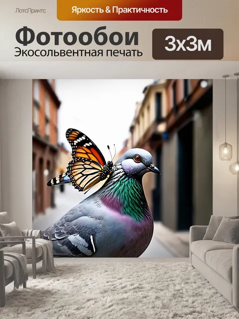 Фотообои бабочка на носу у голубя