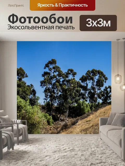 Фотообои История горной долины