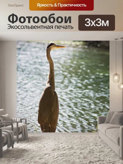 Фотообои Птица