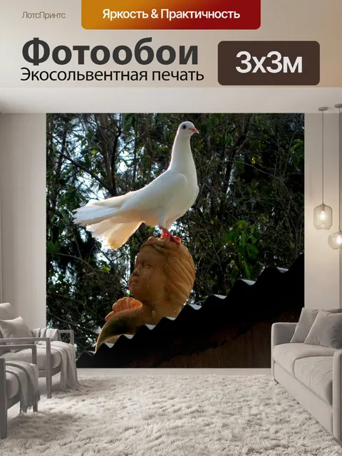 Фотообои сидел голубь