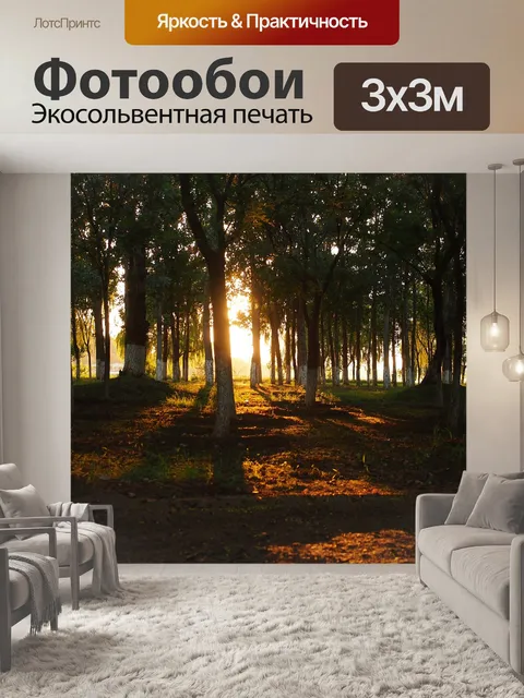 Фотообои Лес