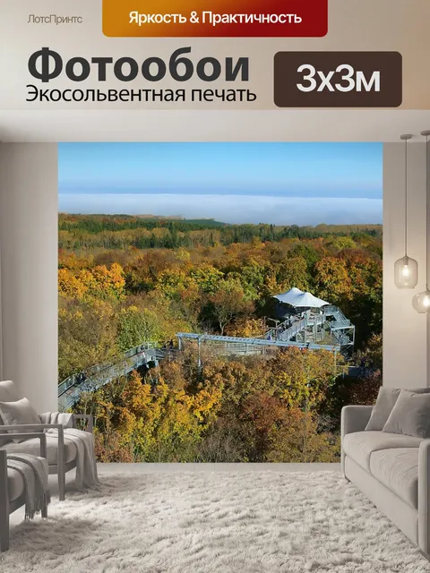 Фотообои Осенний лес