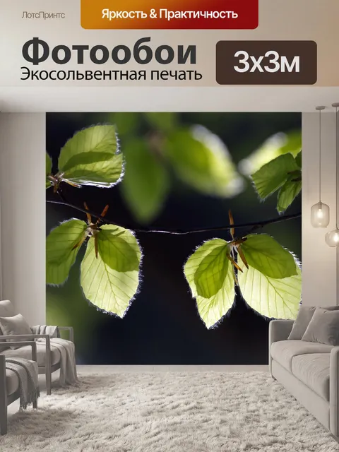 Фотообои Листья
