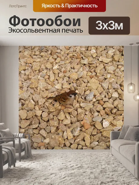 Фотообои Воробей