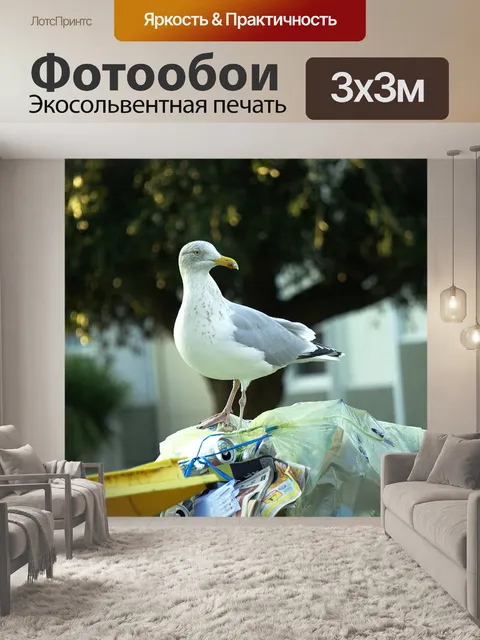 Фотообои Галл от мусора