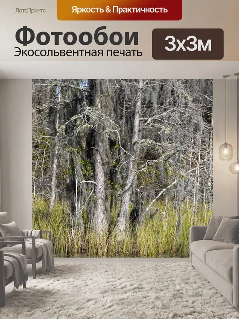 Фотообои деревья вдоль болота