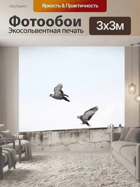 Фотообои Птицы