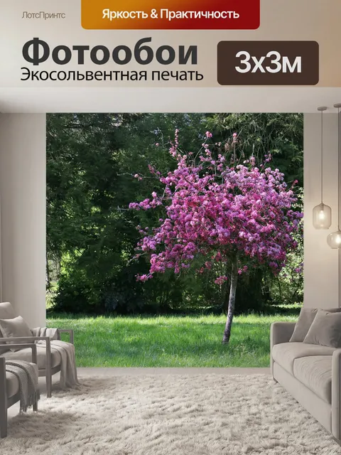 Фотообои Весна