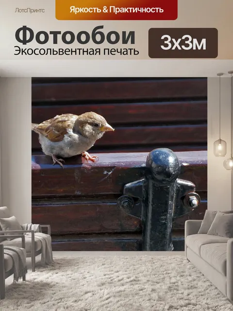 Фотообои Птицы