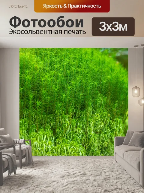 Фотообои Зеленый мох