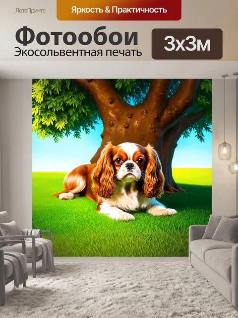 Фотообои кавалер кинг чарльз спаниель