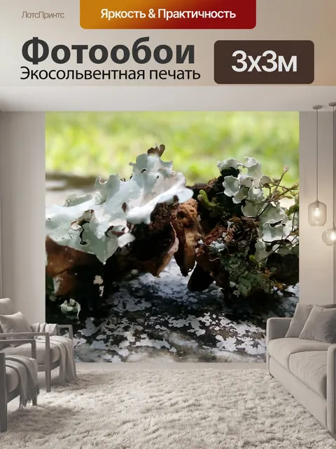 Фотообои Природа