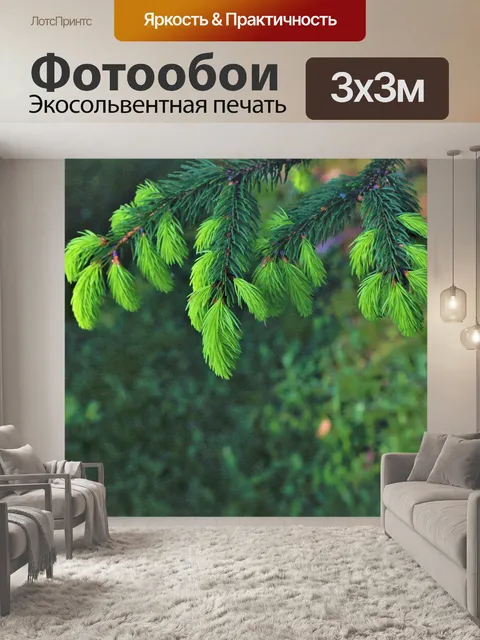Фотообои Цветы