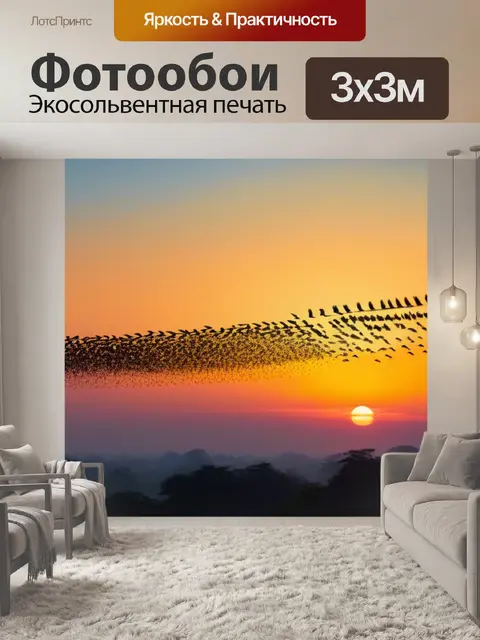 Фотообои рассвет с парящими птицами