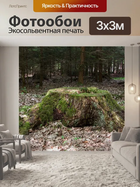 Фотообои Пень