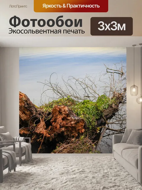 Фотообои Ствол дерева в воде