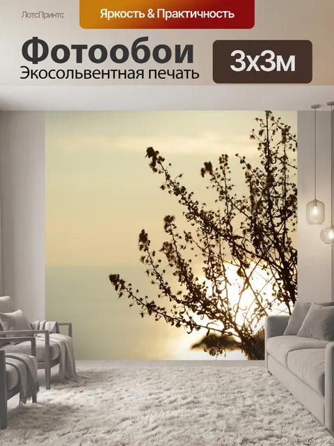 Фотообои Отражение