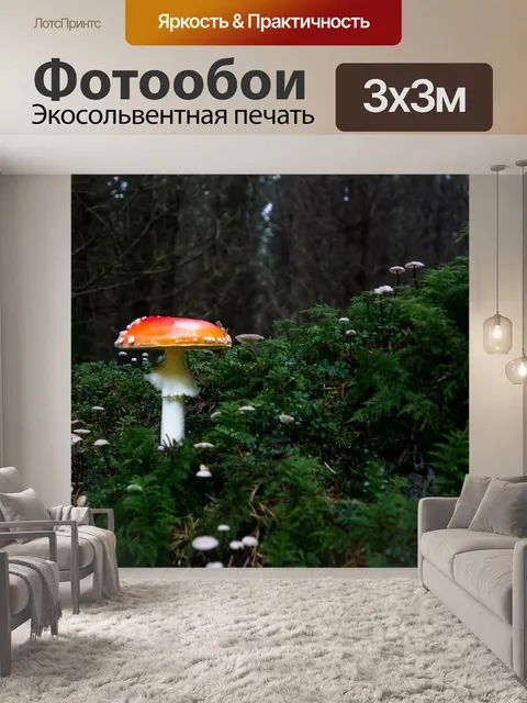 Фотообои Гриб
