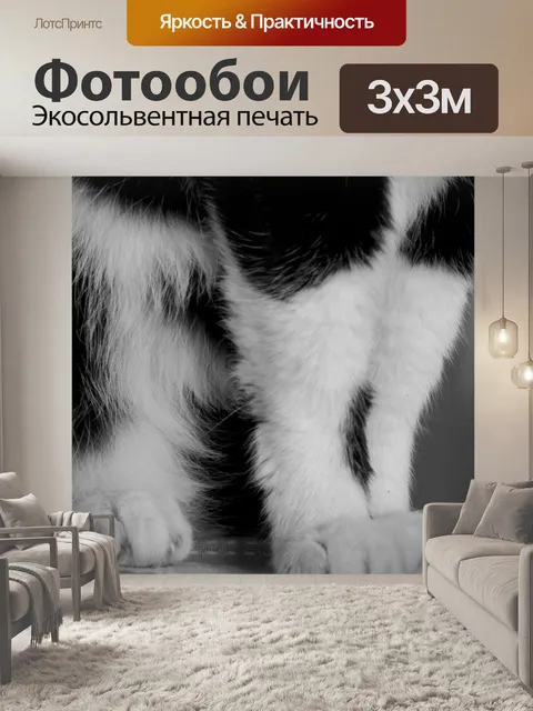 Фотообои Кошки