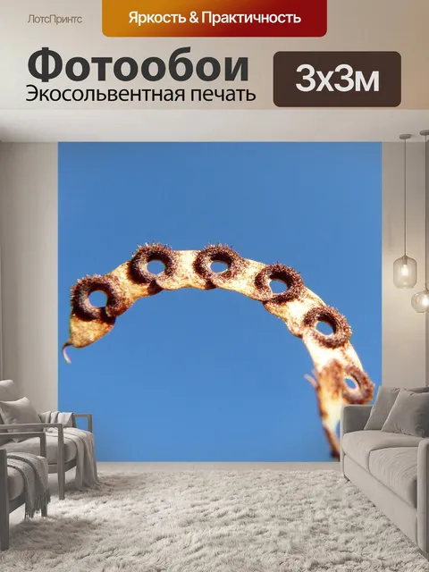 Фотообои Геометрия завода