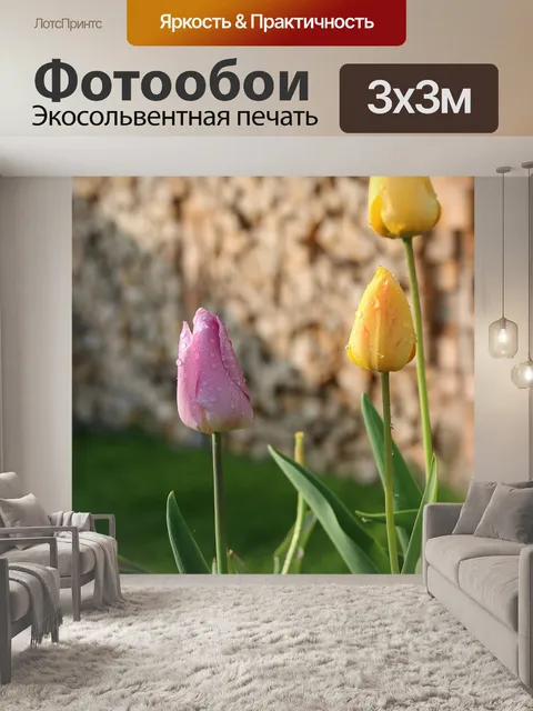 Фотообои Тюльпаны