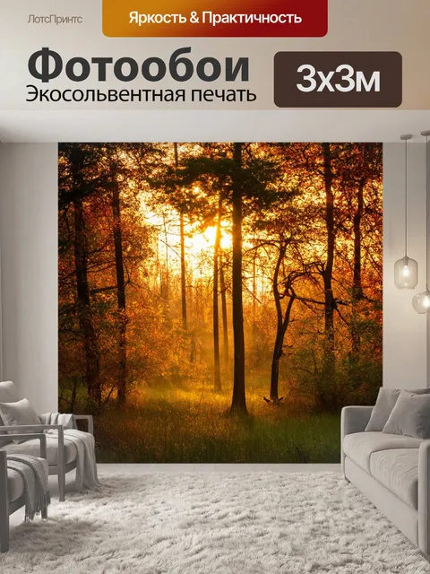Фотообои закат в лесу, густые деревья с яркой листвой, солнечные лучи пробиваются сквозь ветки, мягкий свет заливает…