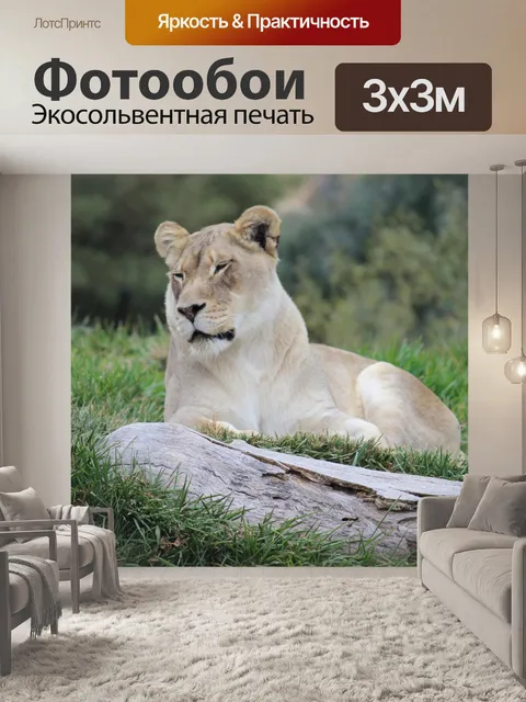 Фотообои Львица