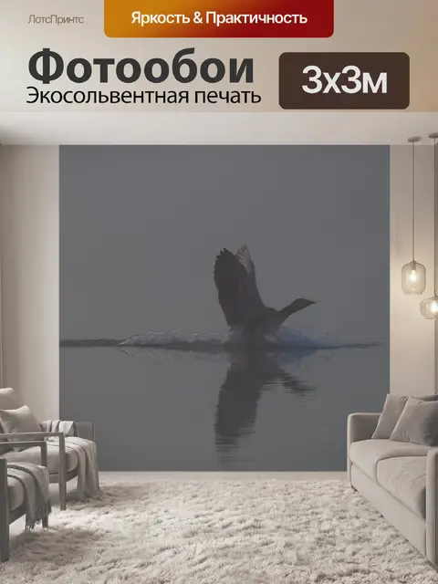 Фотообои Гусь на озеро туманное