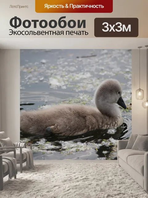 Фотообои Воды