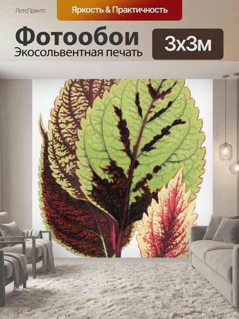 Фотообои Листья Листва Растения Иллюстрации