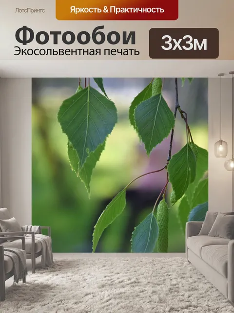 Фотообои Берёза