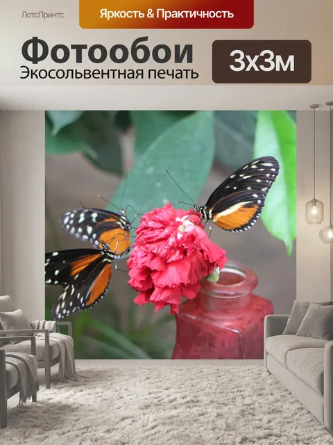 Фотообои Бабочки