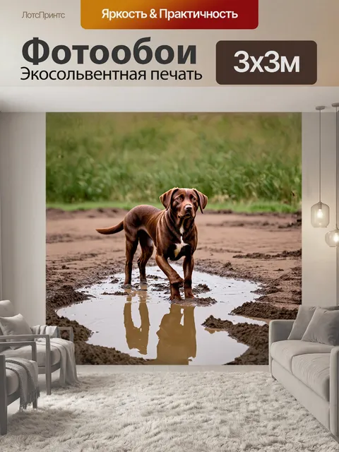 Фотообои лабрадор, вышедший из грязной лужи, стоит с гордой осанкой, его грязь выглядит как натуральный камуфляж…