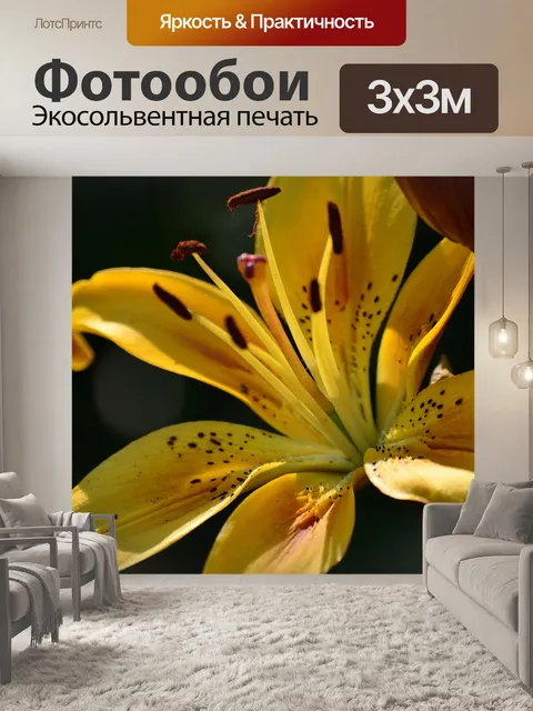 Фотообои Цветы