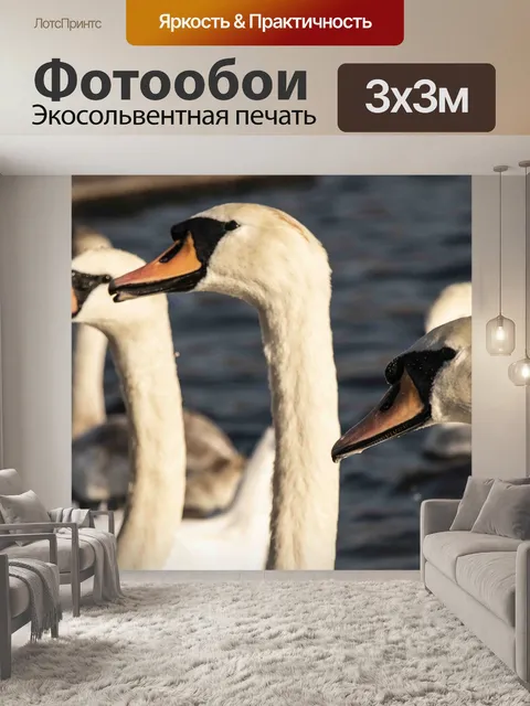 Фотообои Лебеди