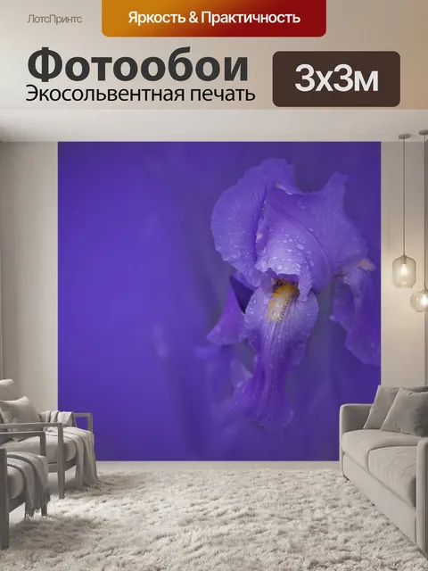 Фотообои Ирис