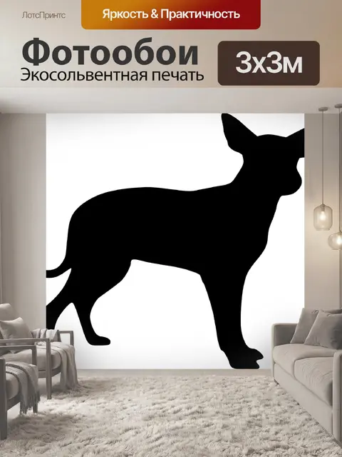 Фотообои Собака