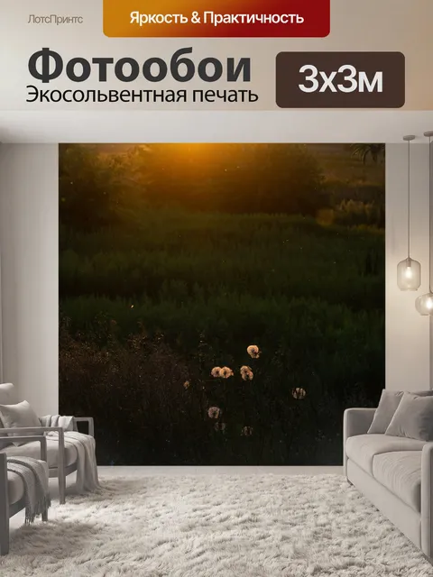 Фотообои Одуванчики