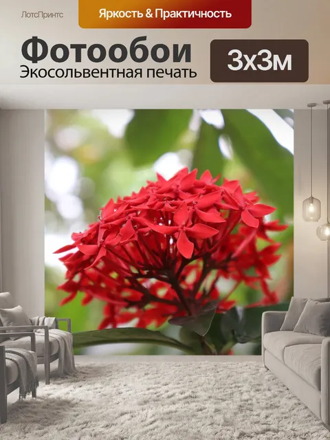 Фотообои Цветы