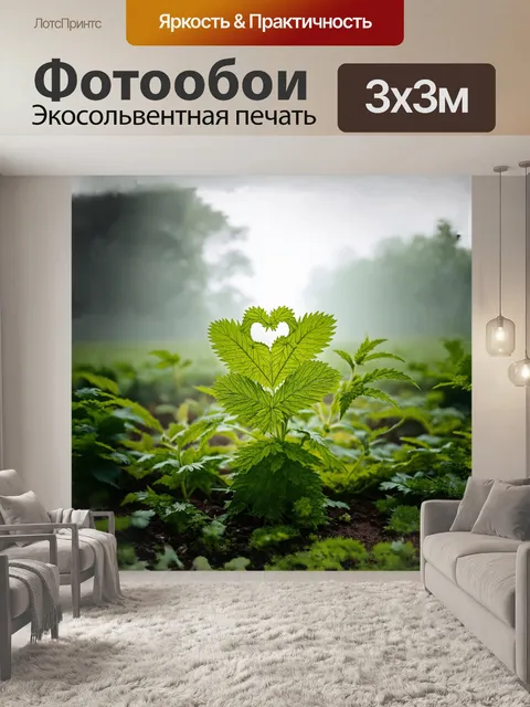 Фотообои крапива, лекарственная трава, растущая в заброшенном саду, с листьями, имеющими форму сердца и зубчатыми…