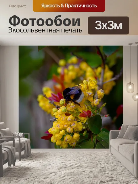Фотообои Шмель
