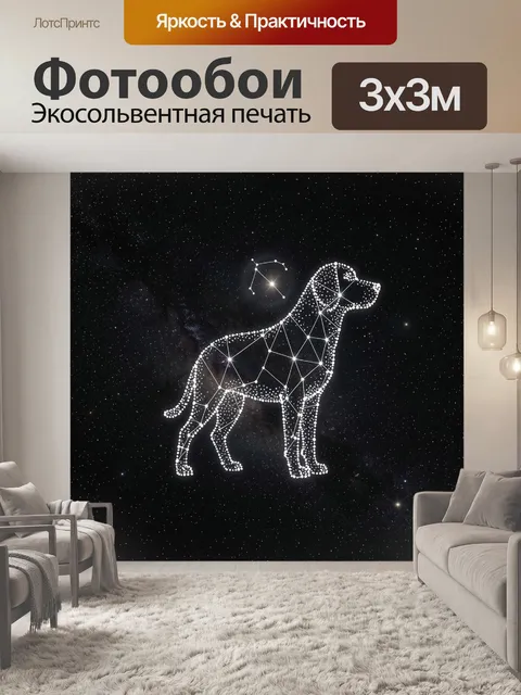 Фотообои Собака созвездий со световыми точками