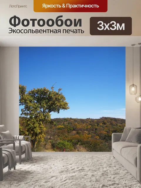 Фотообои дерево с листвой на холме