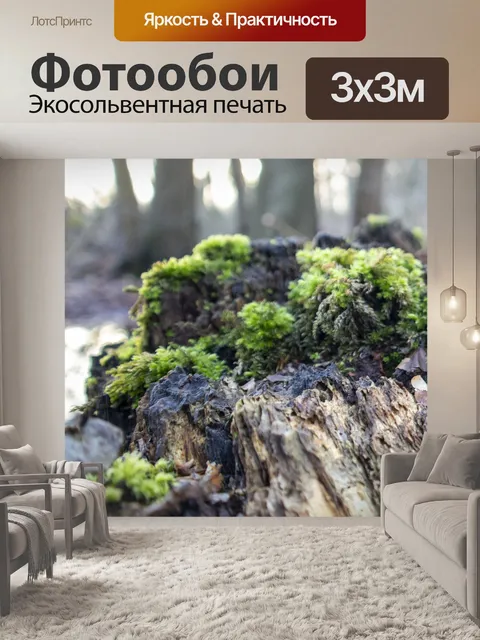 Фотообои Мох