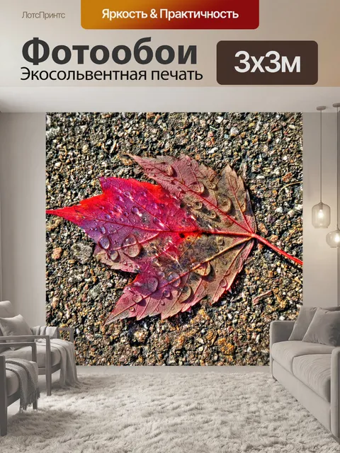 Фотообои Осенний лист