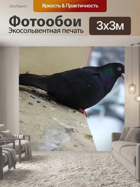 Фотообои Птица