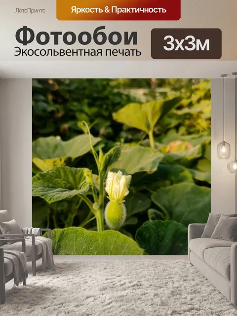 Фотообои Листья