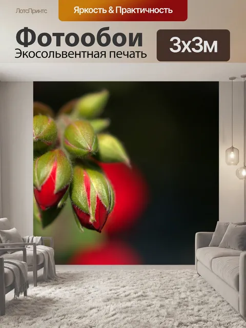 Фотообои Цветы