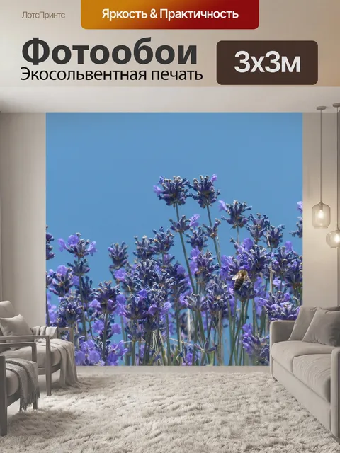 Фотообои Лаванда