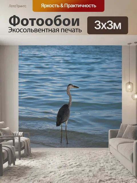 Фотообои Морская птица